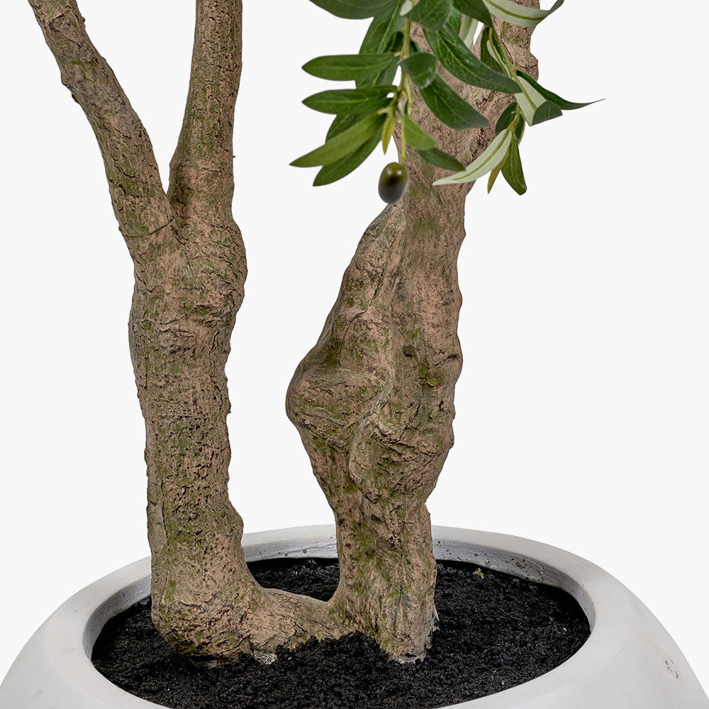 Artificial Olive Tree in White Pot | Extra Large